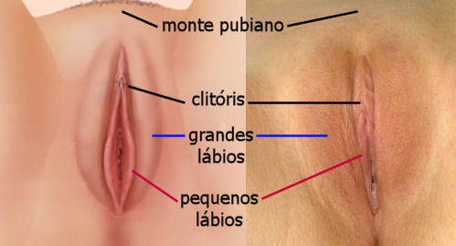 quanto custa uma cirurgia intima feminina ?